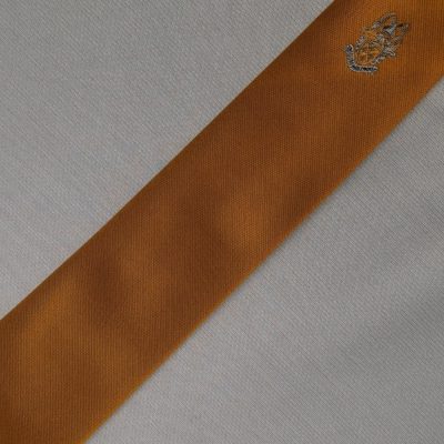 House Tie Gold